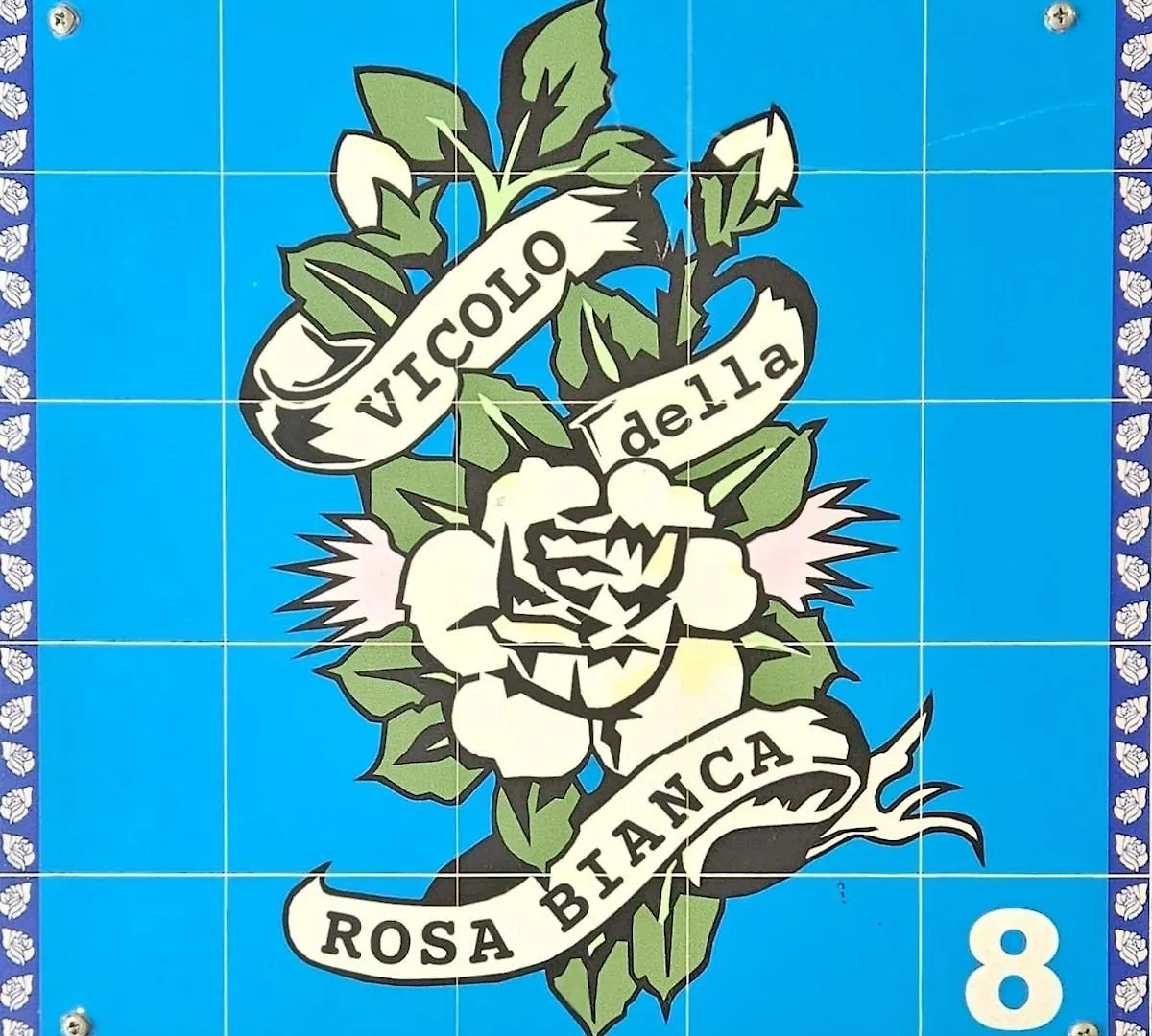 La Rosa Bianca Della Vucciria Villa Palermo